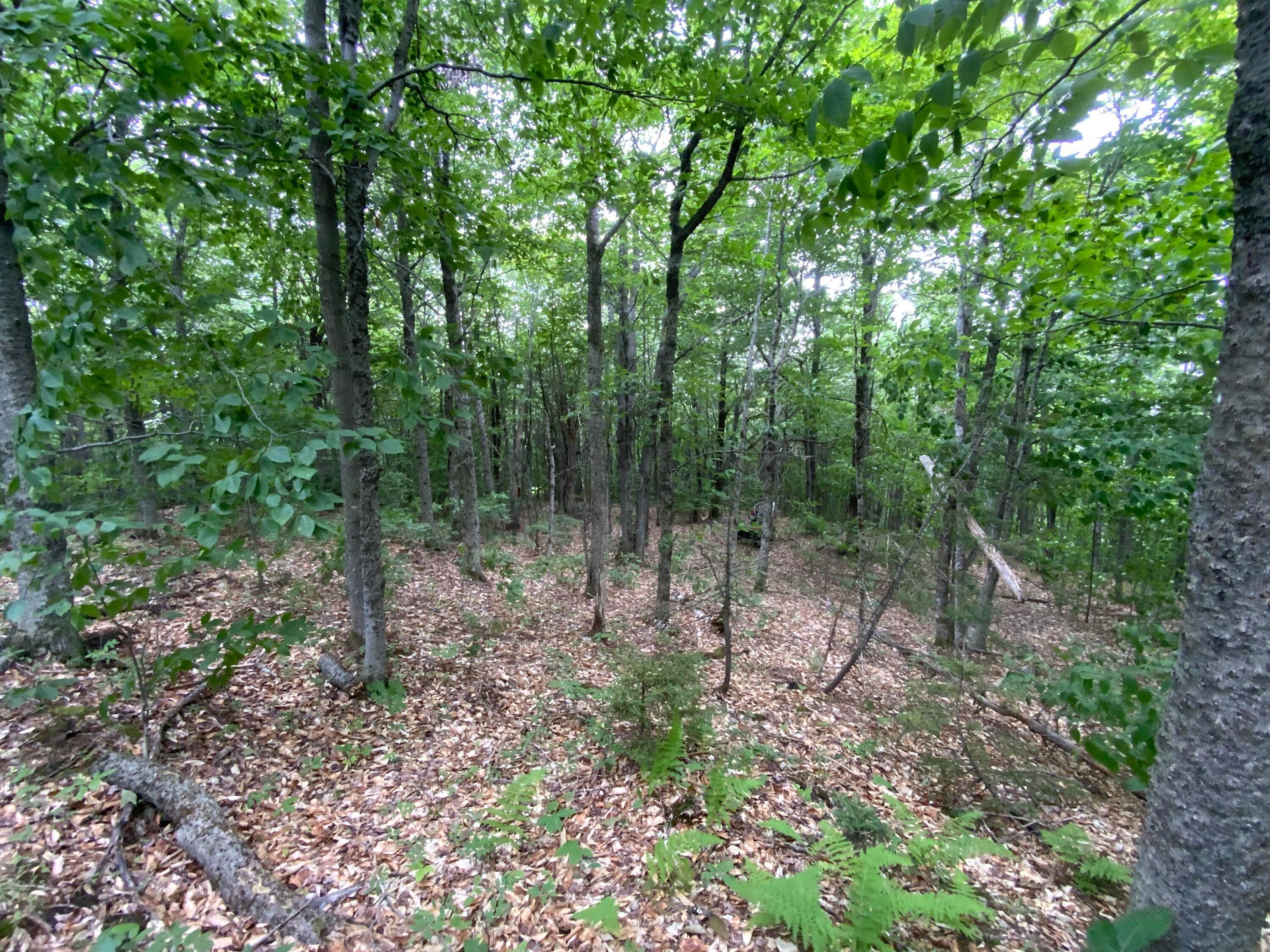 27. Land for Sale at Rumford, ME 04276