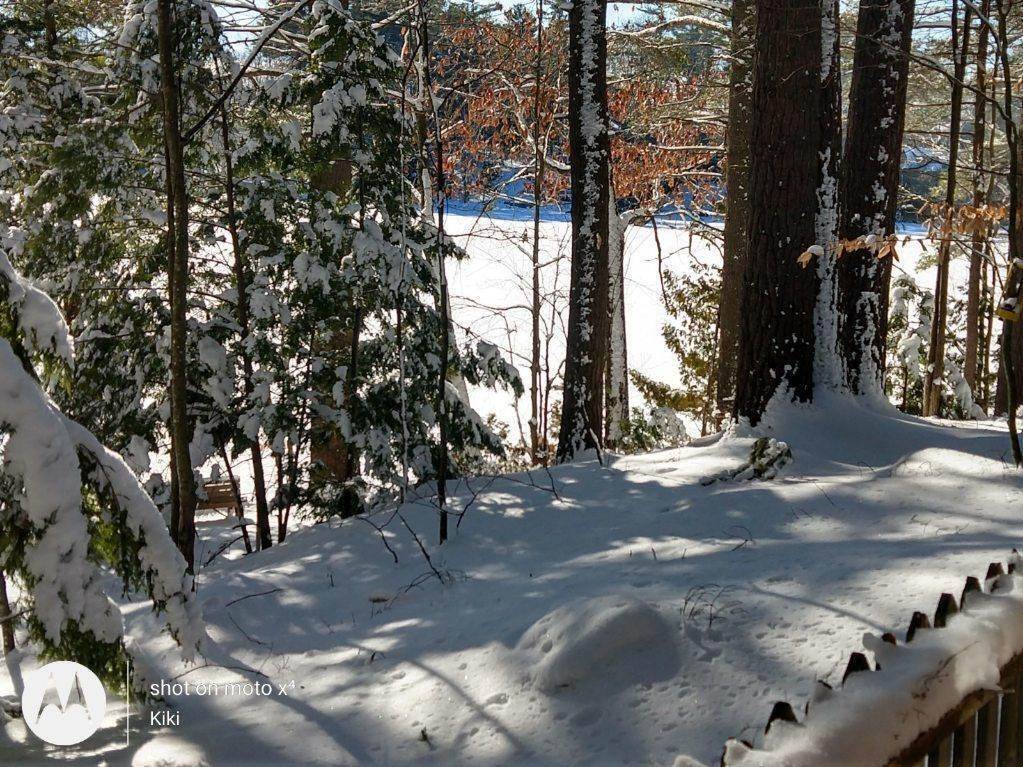 15. Land for Sale at Oakland, ME 04963