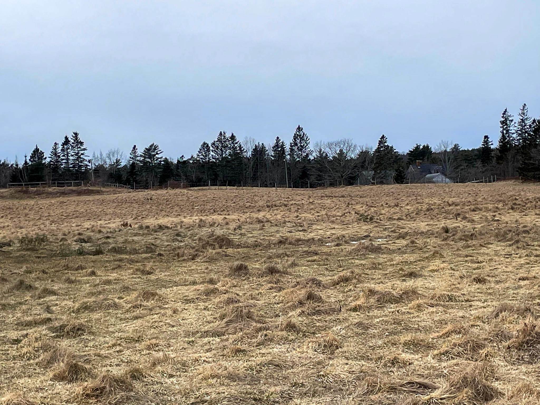 3. Land for Sale at Cherryfield, ME 04622