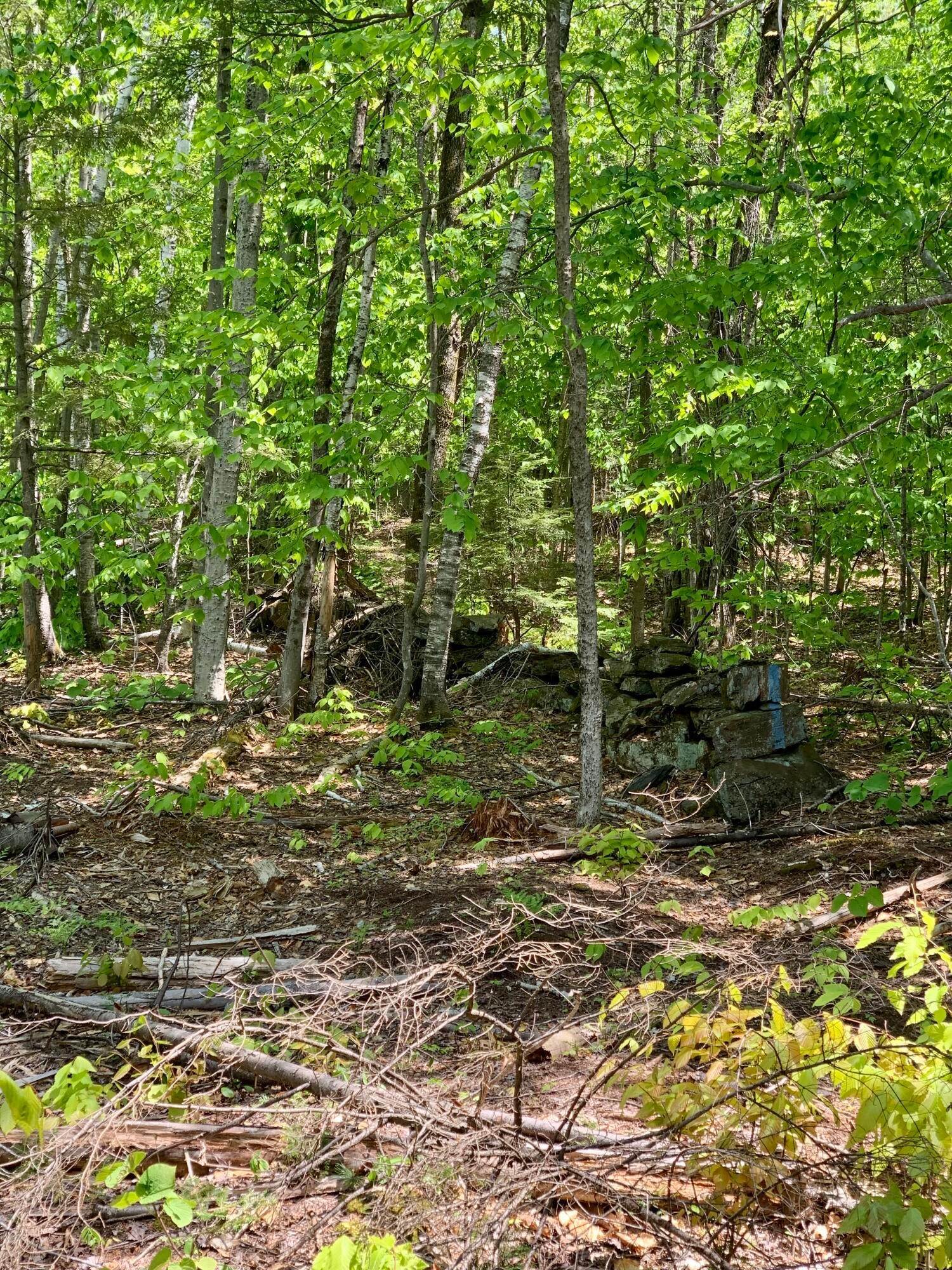 7. Land for Sale at Wilton, ME 04294