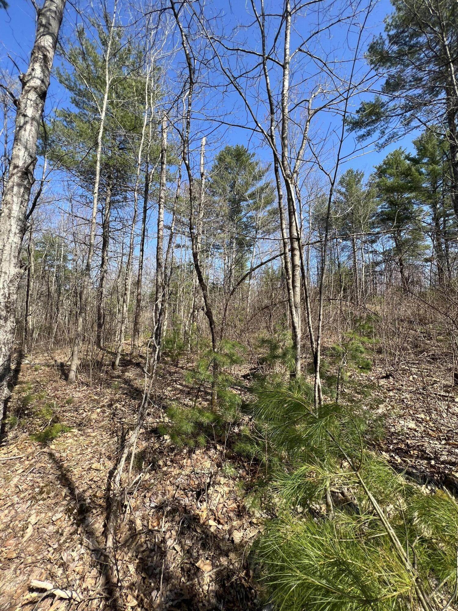 7. Land for Sale at Lyman, ME 04002