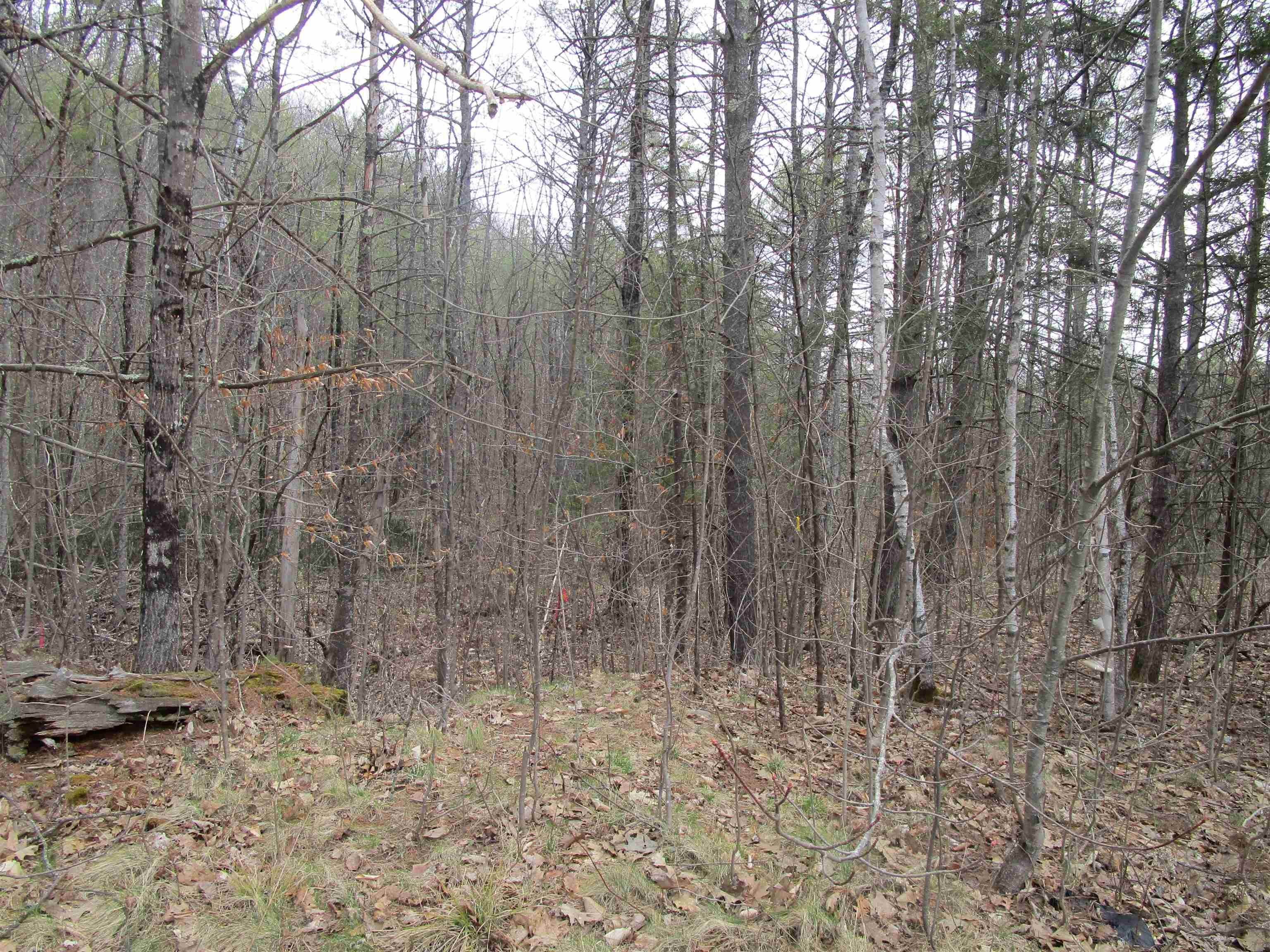 Land for Sale at Andover, NH 03216