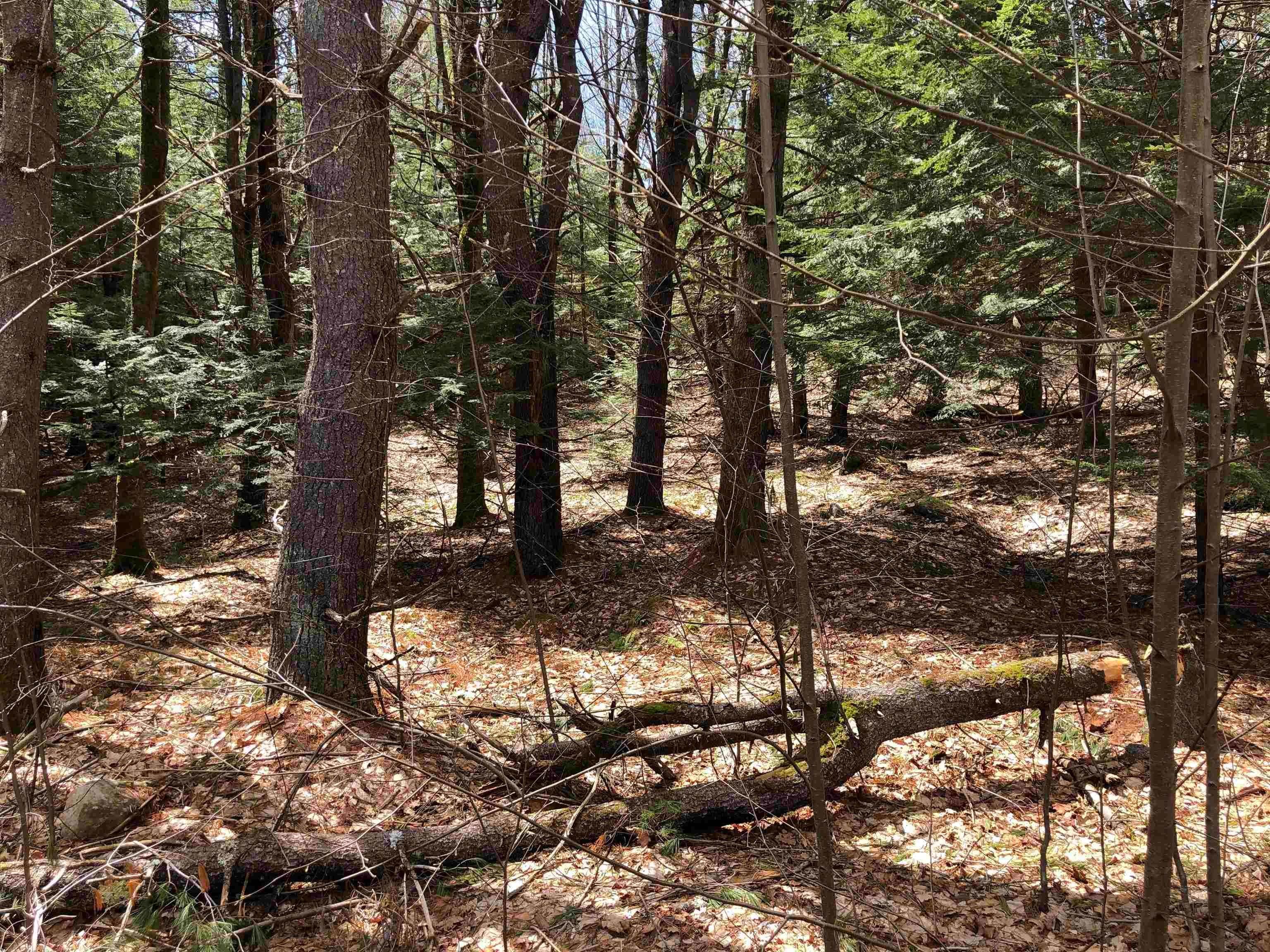 8. Land for Sale at Chester, VT 05143