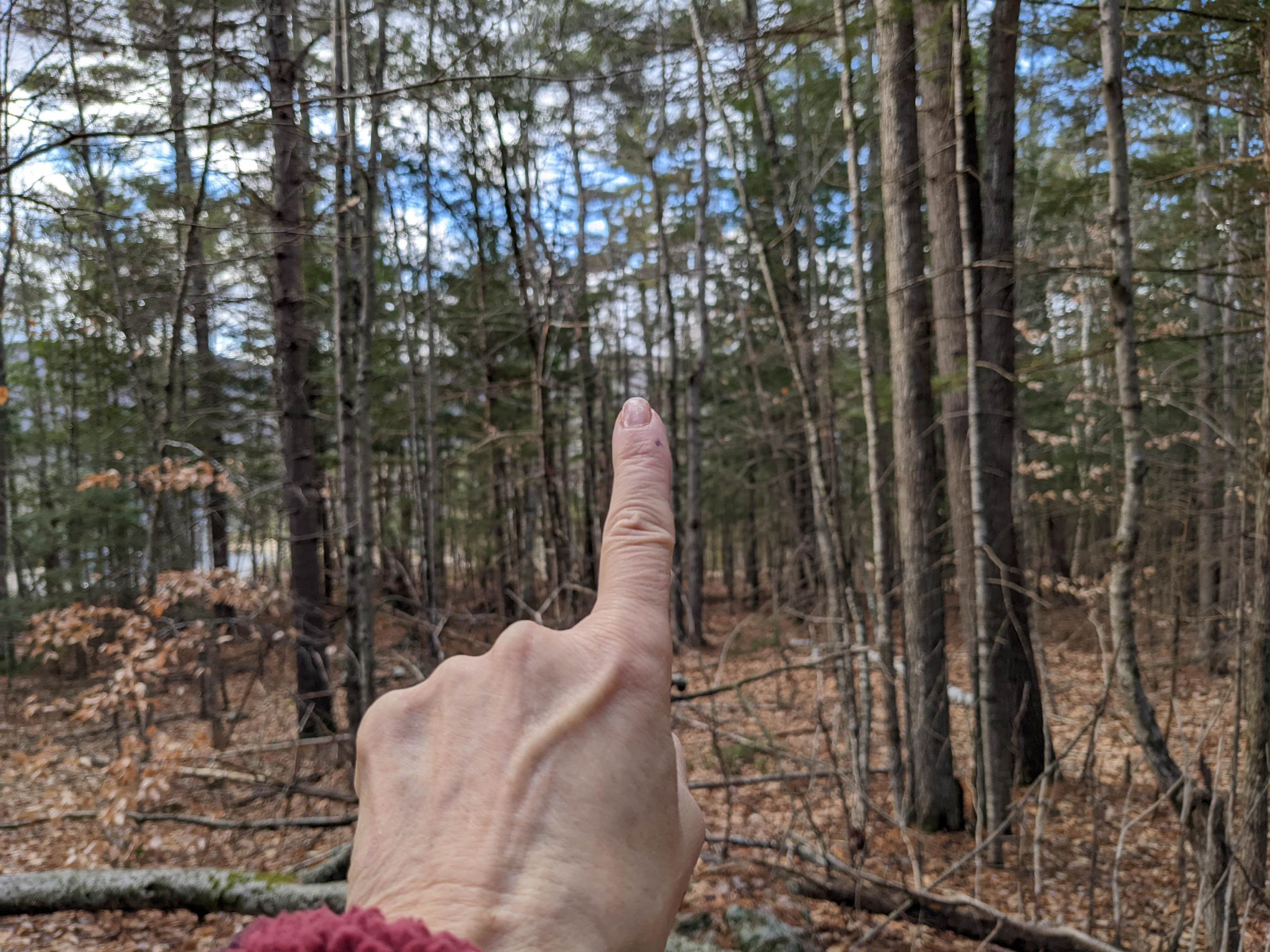 Land for Sale at Stow, ME 00403