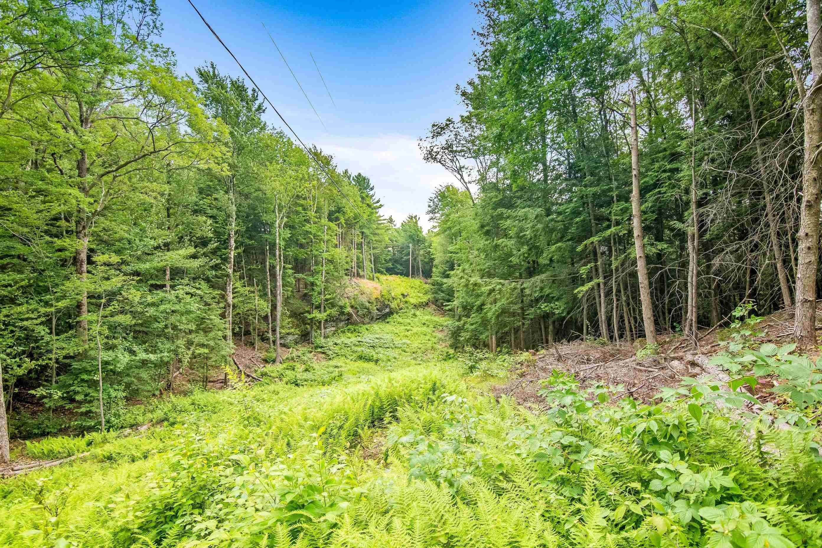 2. Land for Sale at St. George, VT 05495