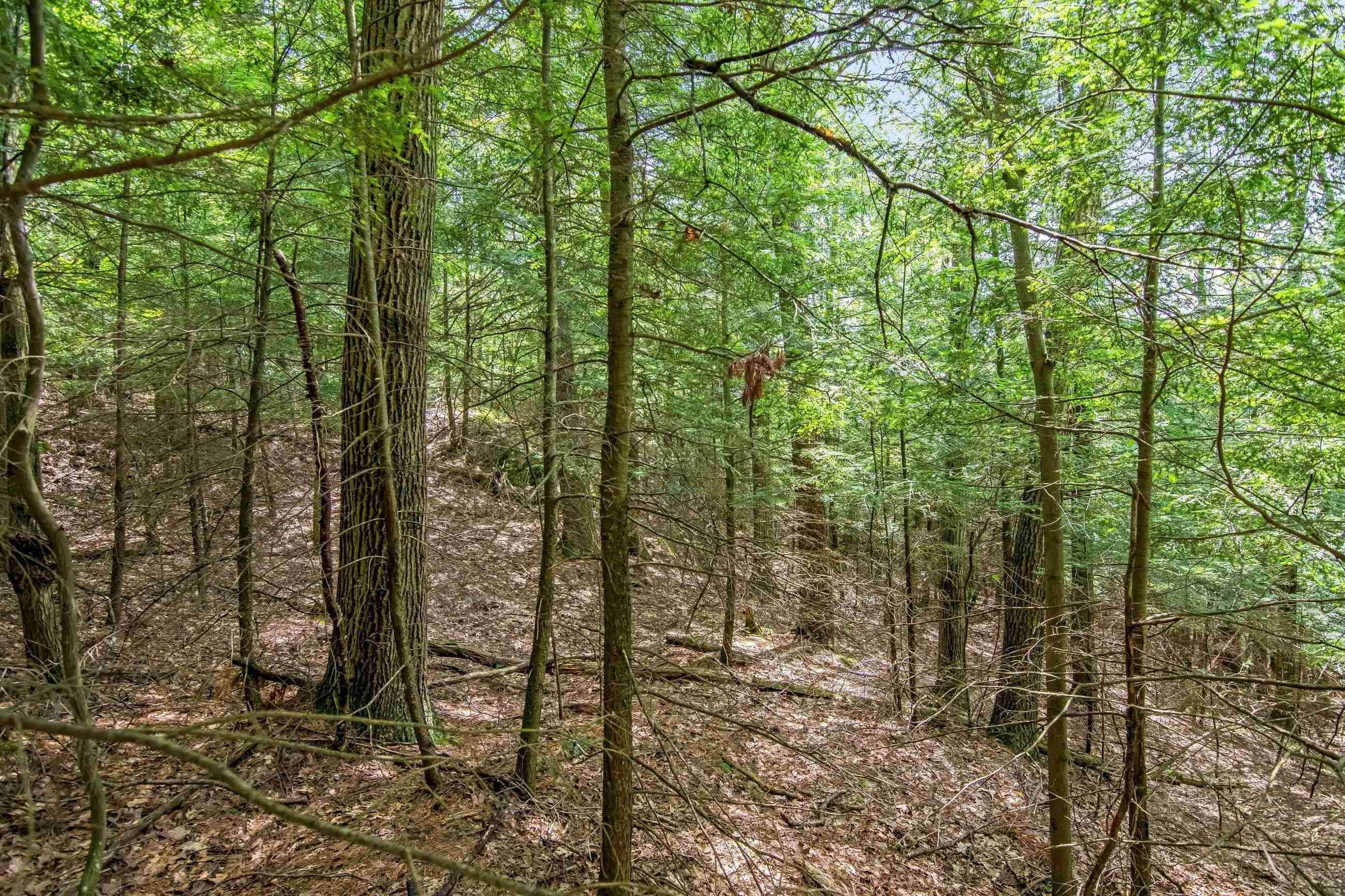 14. Land for Sale at St. George, VT 05495