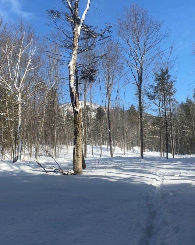 Land for Sale at Rumney, NH 03266