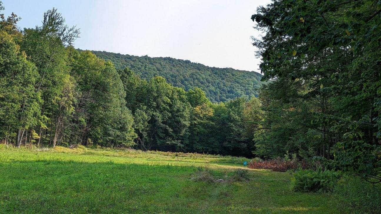 9. Single Family Homes for Sale at Mendon, VT 05701