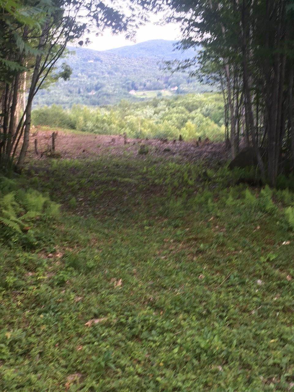 3. Land for Sale at Bristol, NH 03222