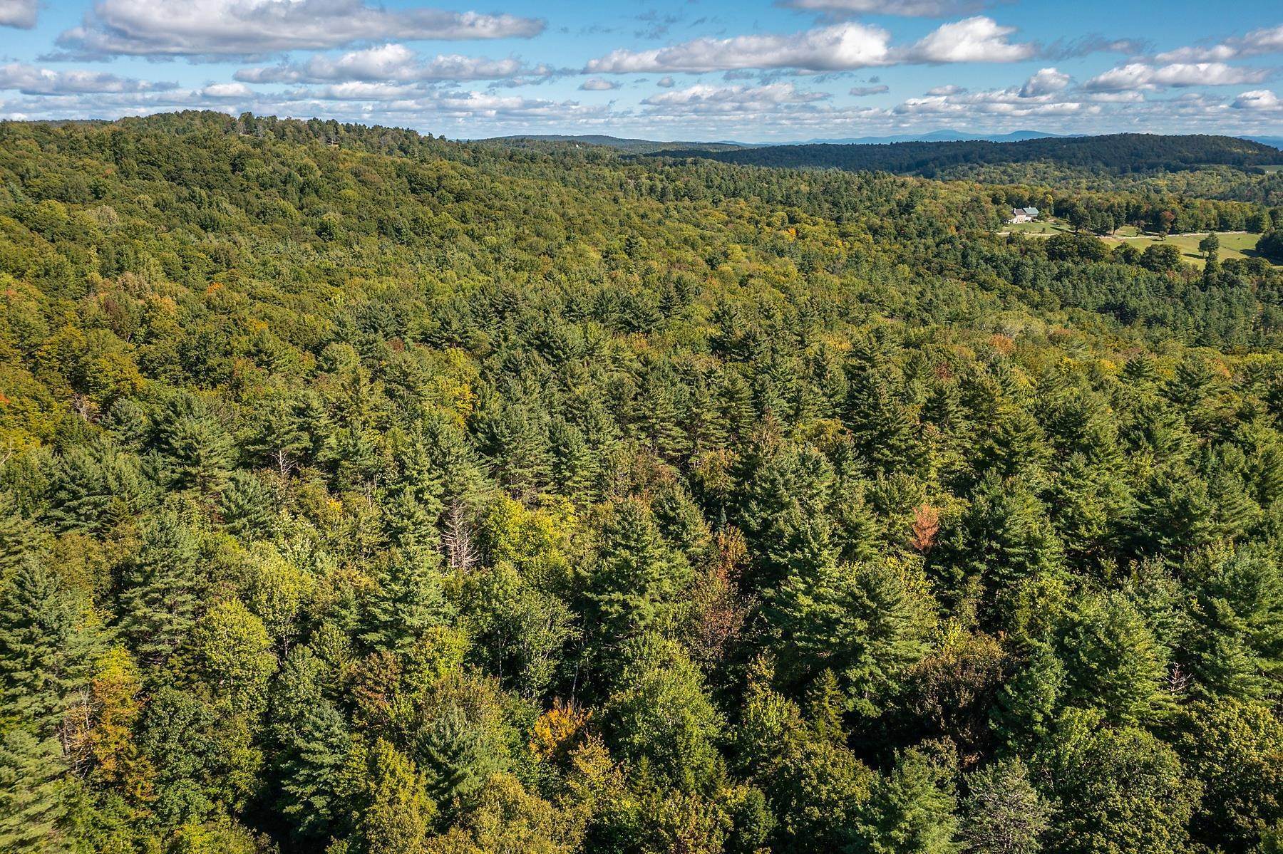 19. Land for Sale at Reading, VT 05062