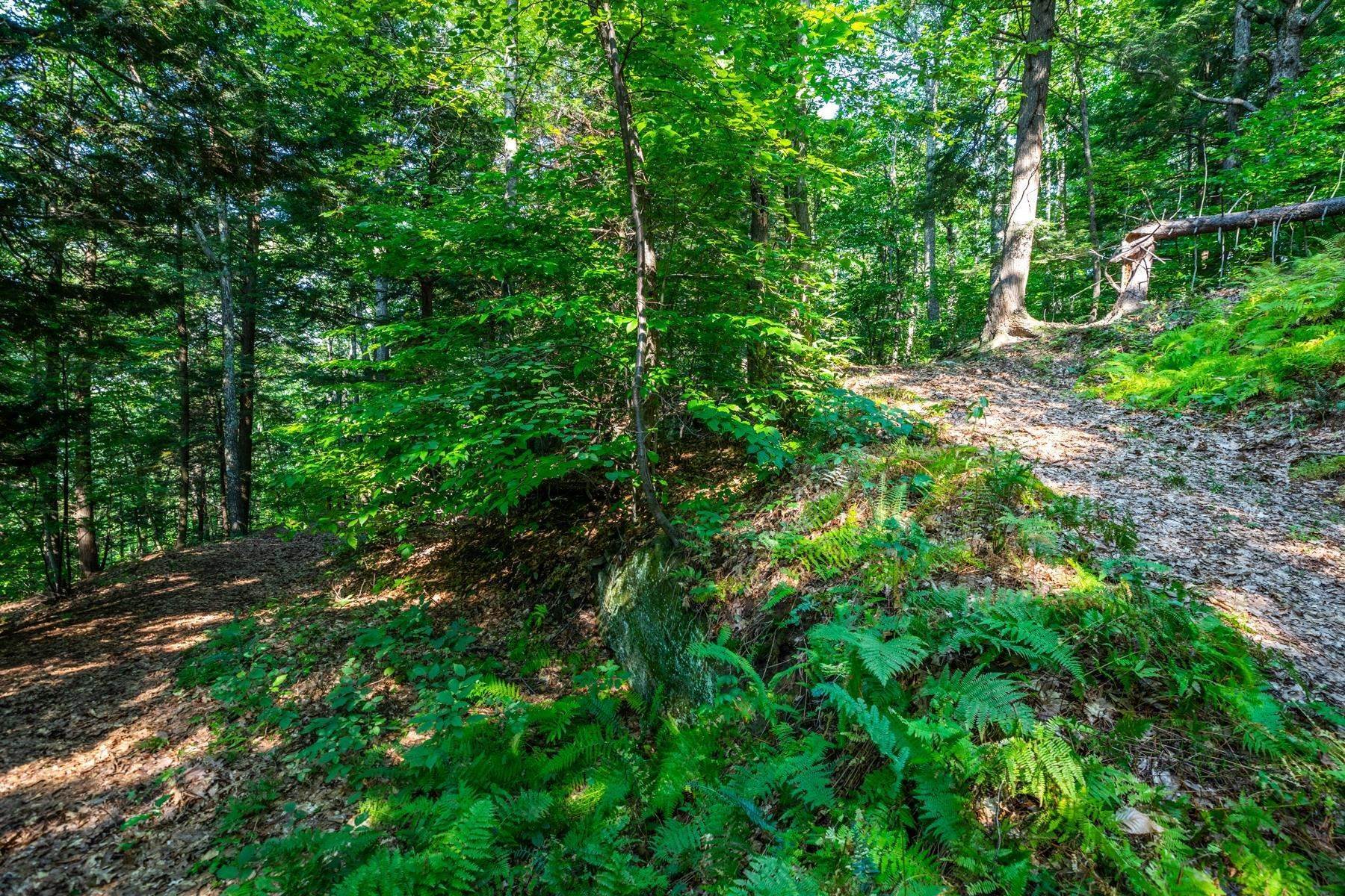 4. Land for Sale at Reading, VT 05062