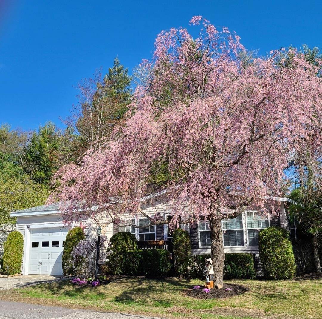 Mobile Homes for Sale at Belmont, NH 03220