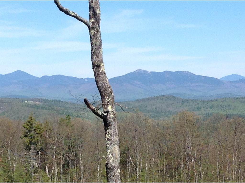 2. Land for Sale at Freedom, NH 03836