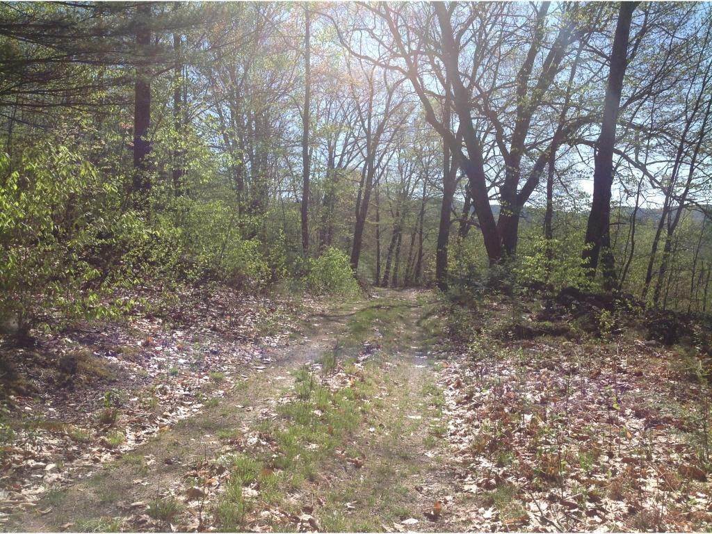 12. Land for Sale at Freedom, NH 03836
