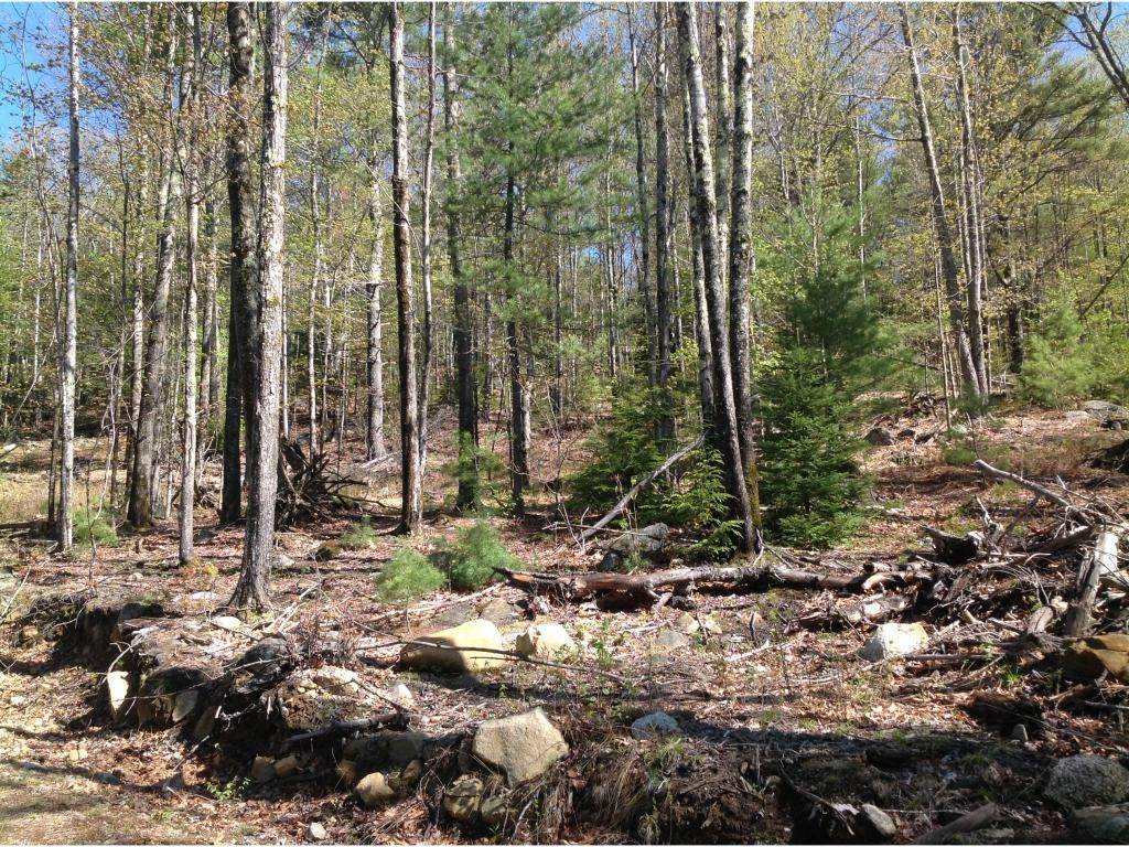 18. Land for Sale at Freedom, NH 03836