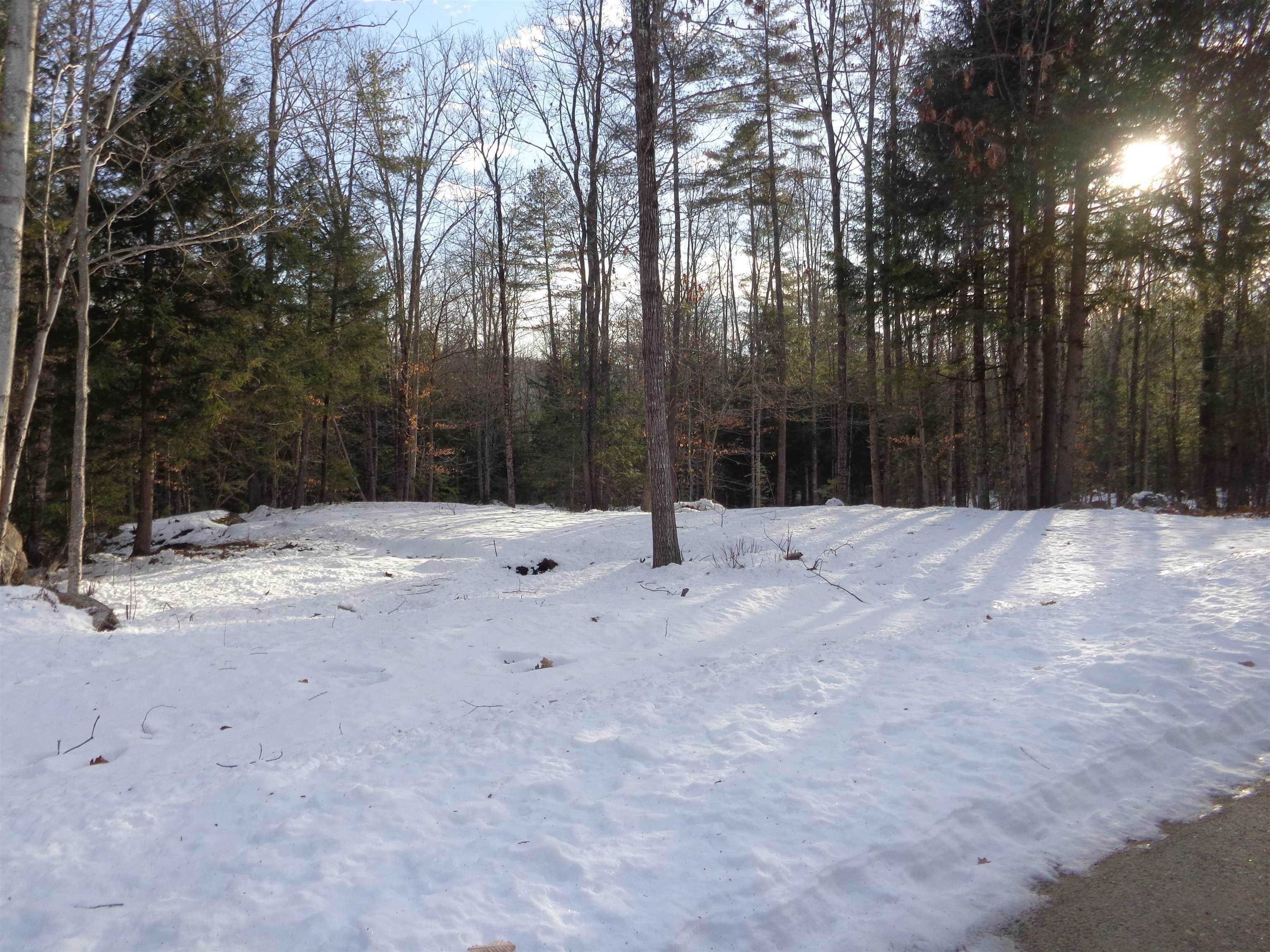 Property for Sale at Danbury, NH 03230
