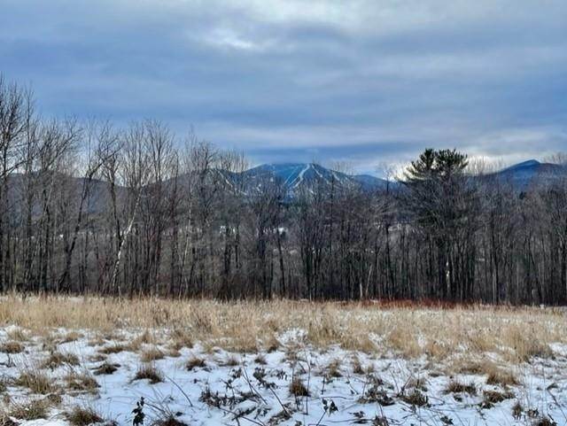 Land for Sale at Jay, VT 05859