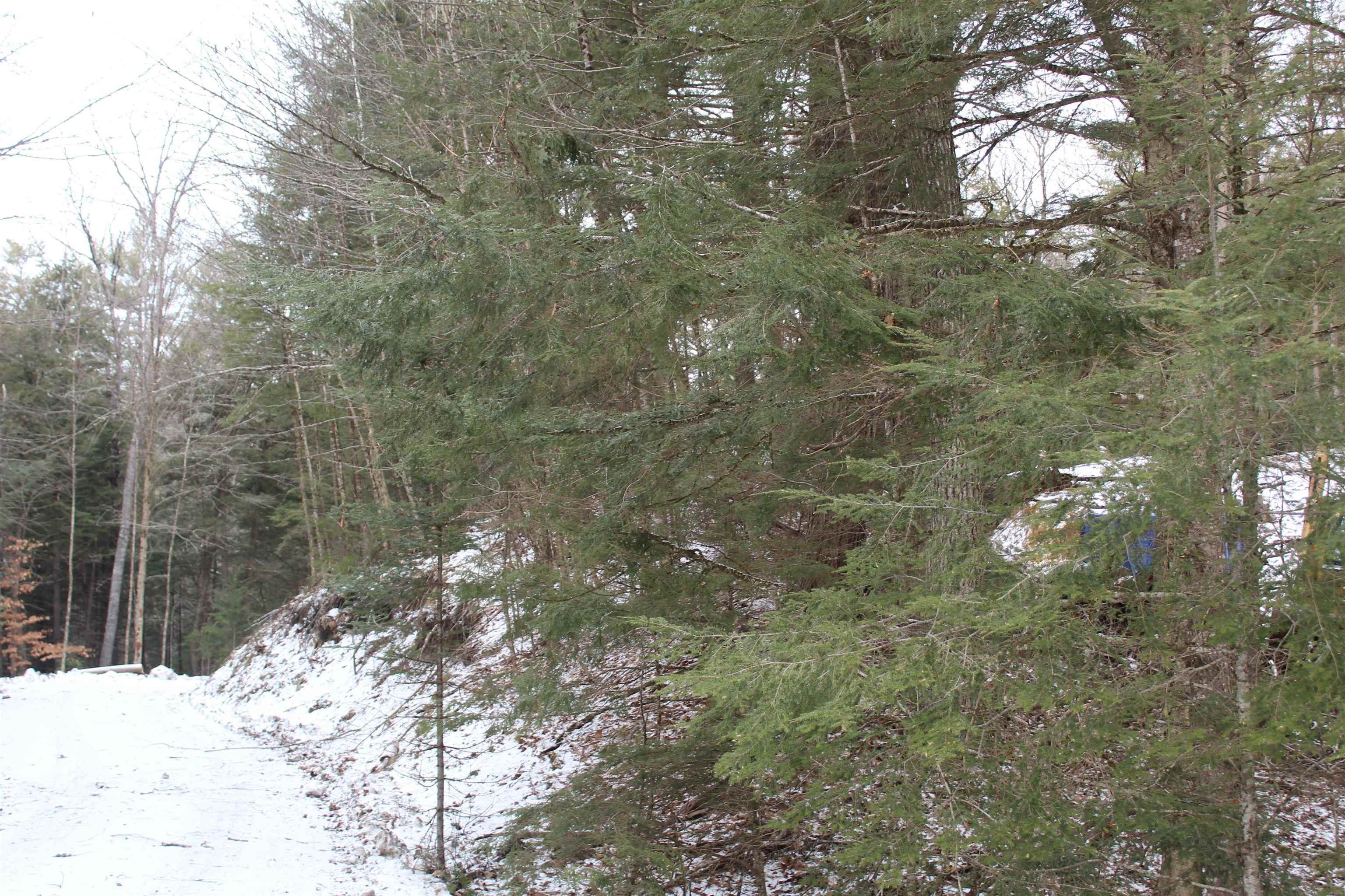 7. Land for Sale at Lyman, NH 03585