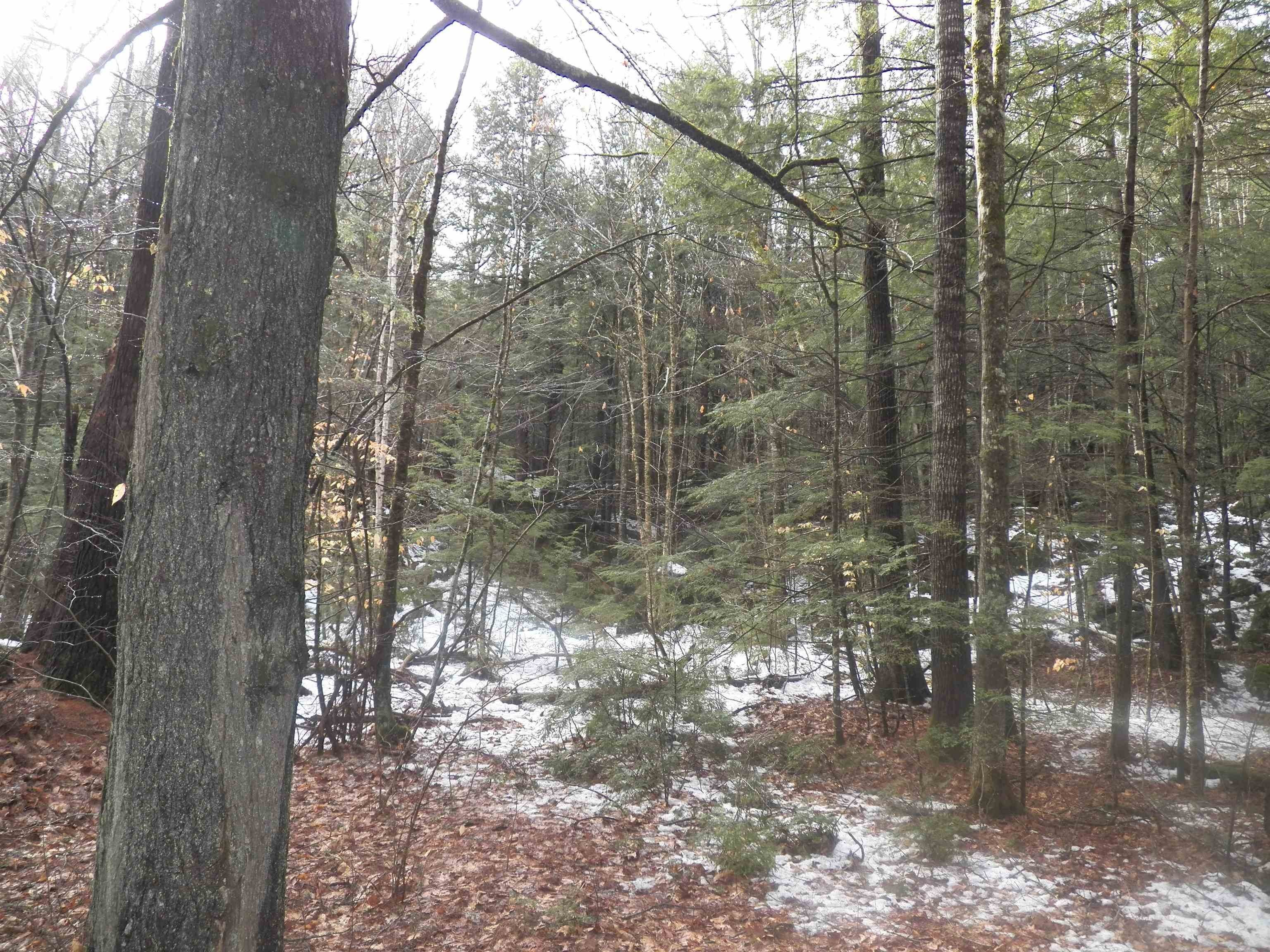 Land for Sale at Sutton, NH 03221