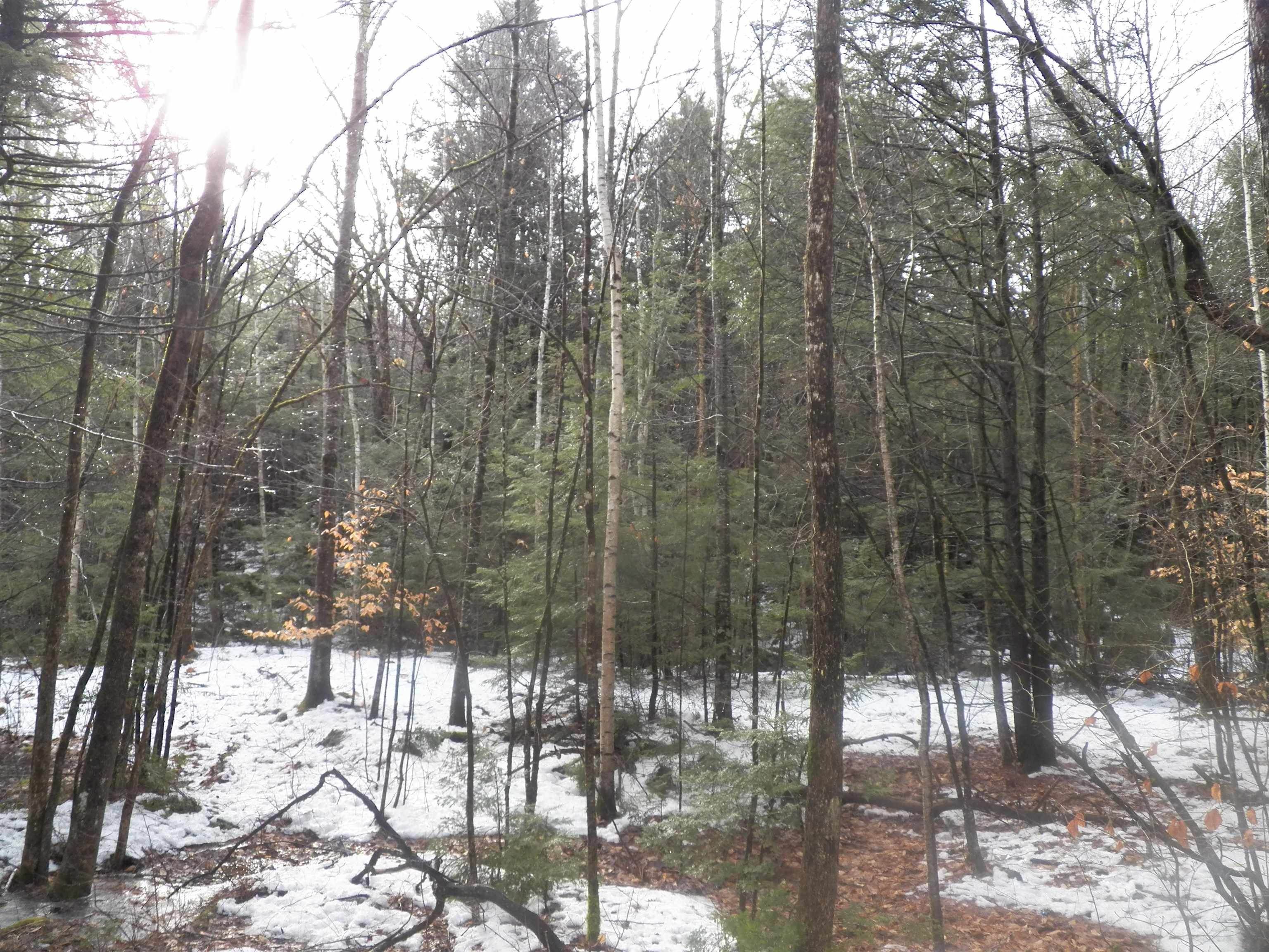 4. Land for Sale at Sutton, NH 03221