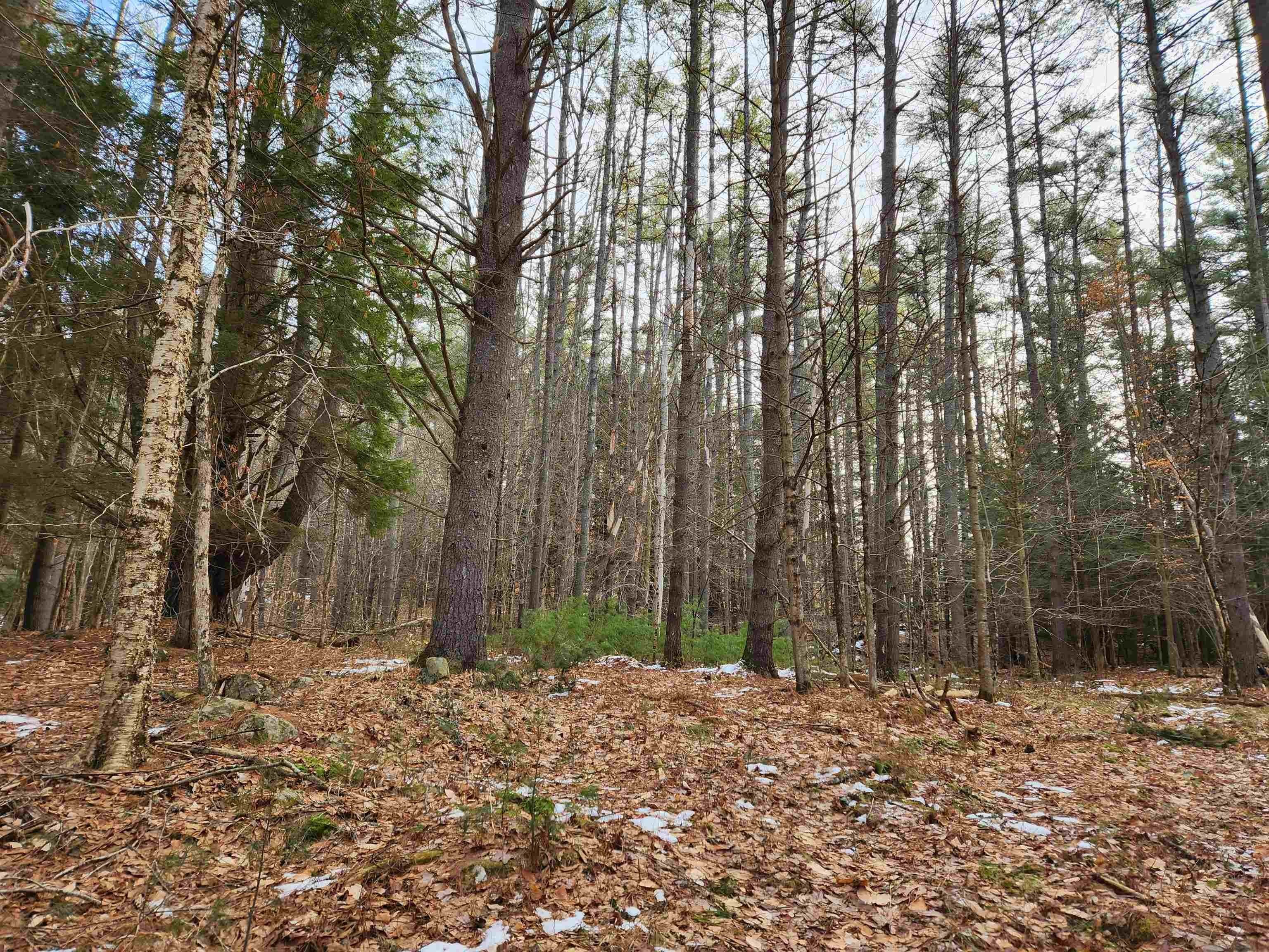 3. Land for Sale at Lyme, NH 03768