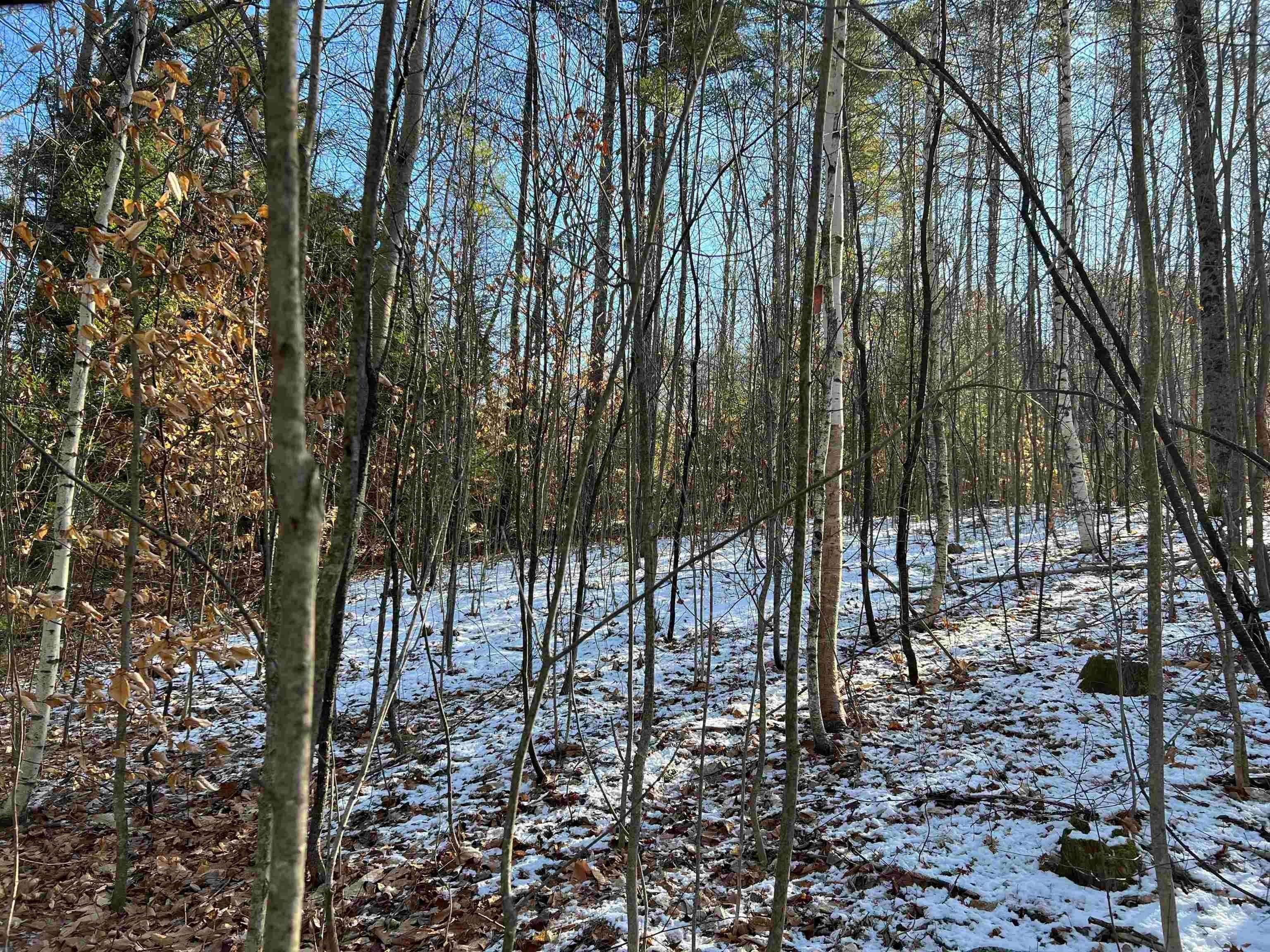 7. Land for Sale at Plymouth, NH 03264