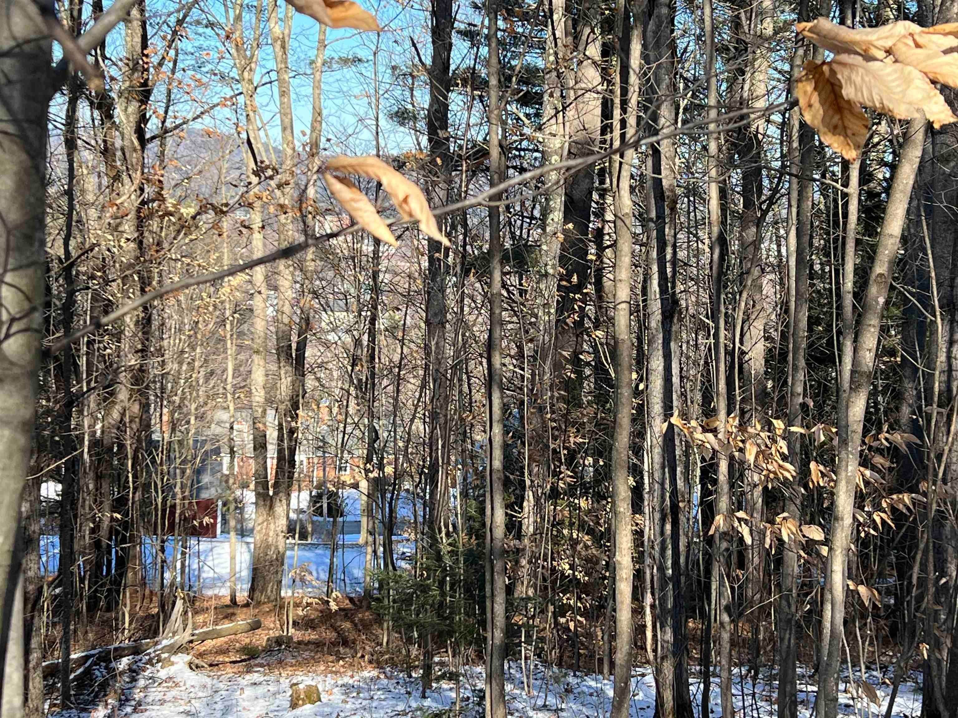 10. Land for Sale at Plymouth, NH 03264