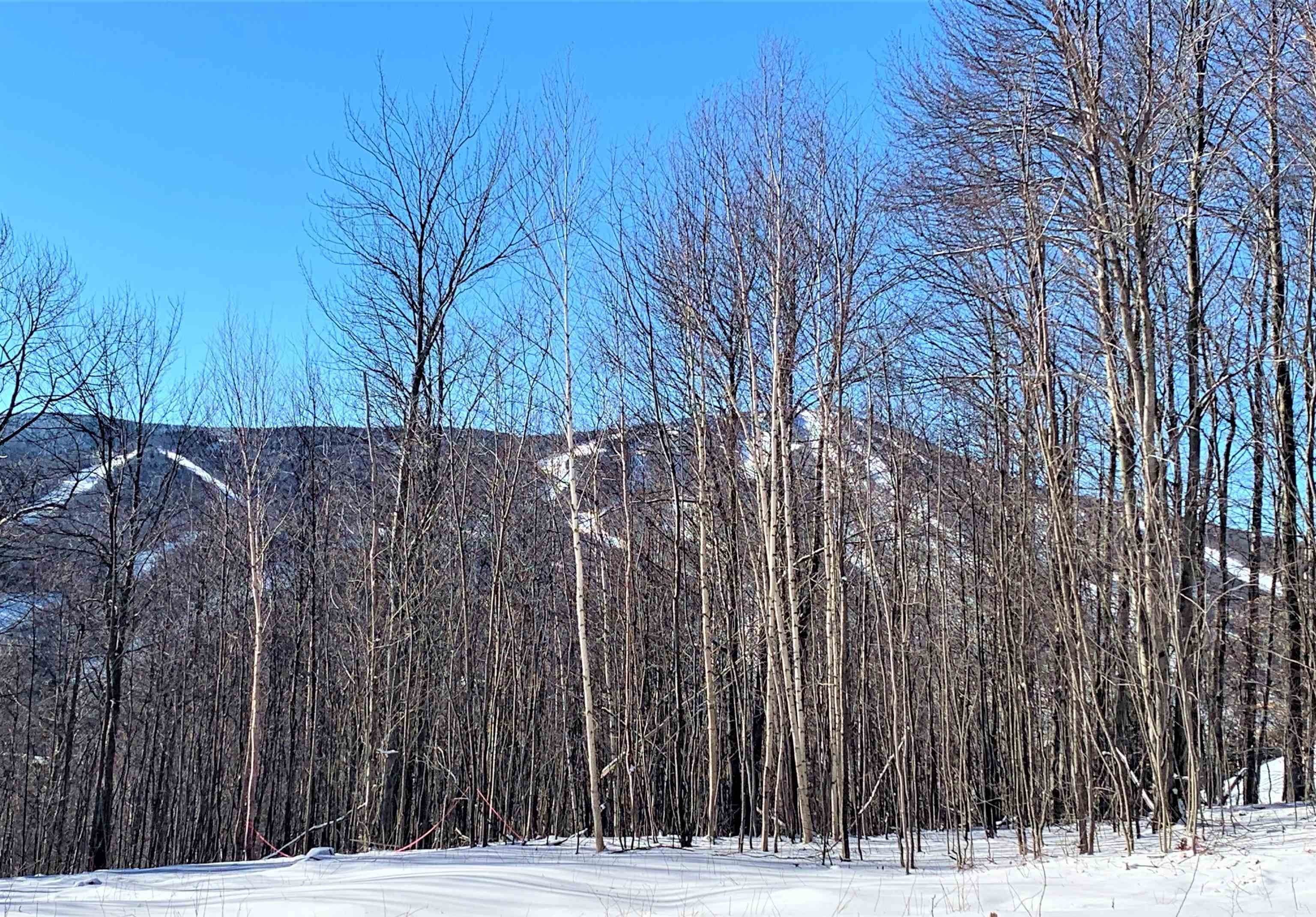 14. Land for Sale at Dover, VT 05356