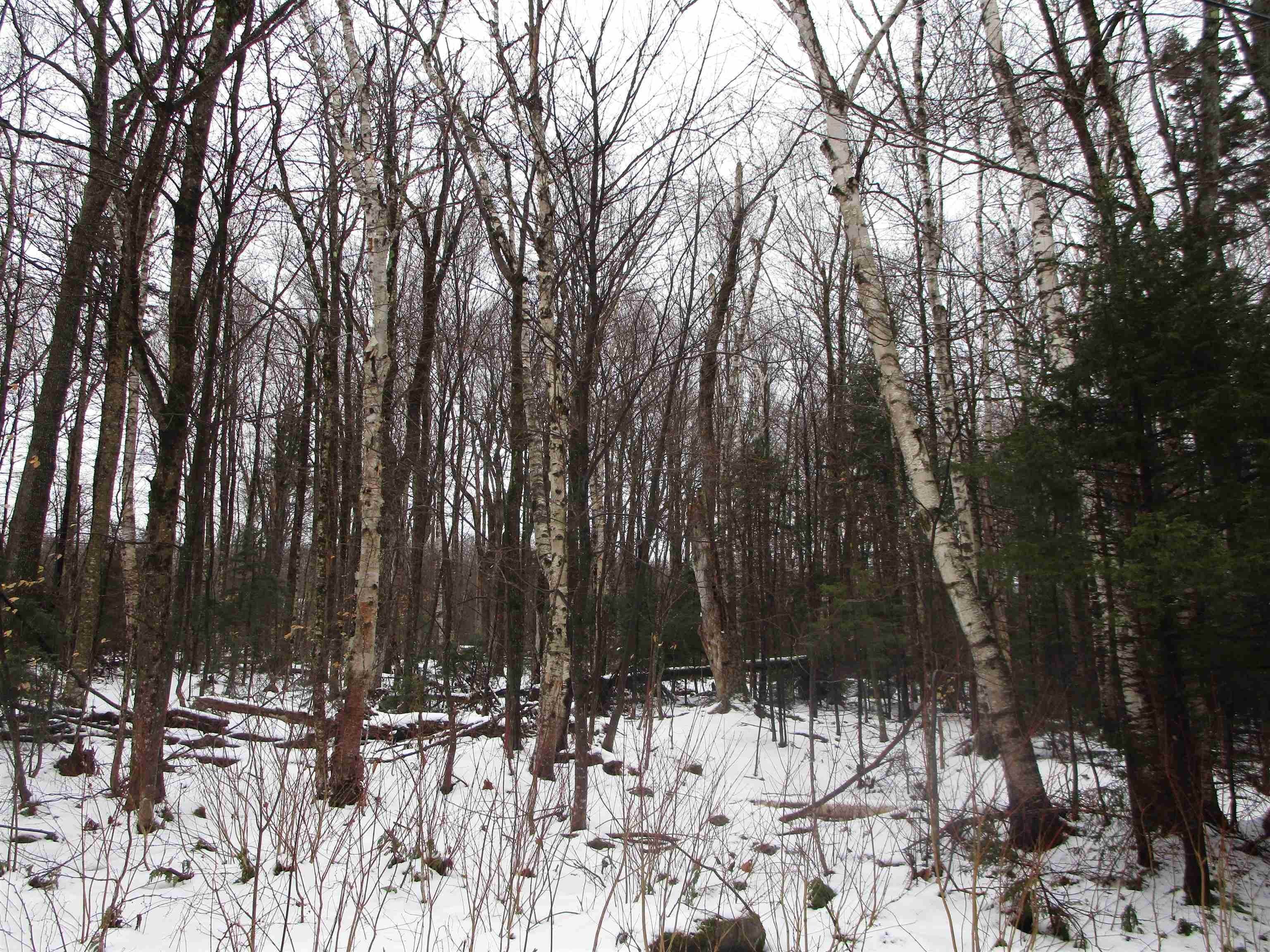 Land for Sale at Winhall, VT 05340