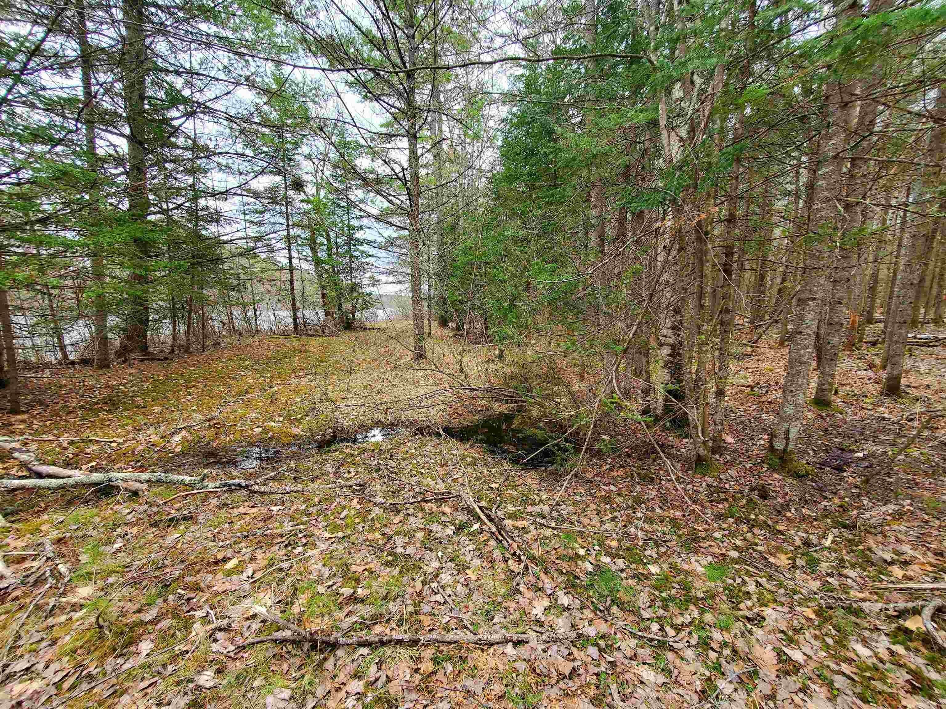 14. Land for Sale at Canaan, NH 03741