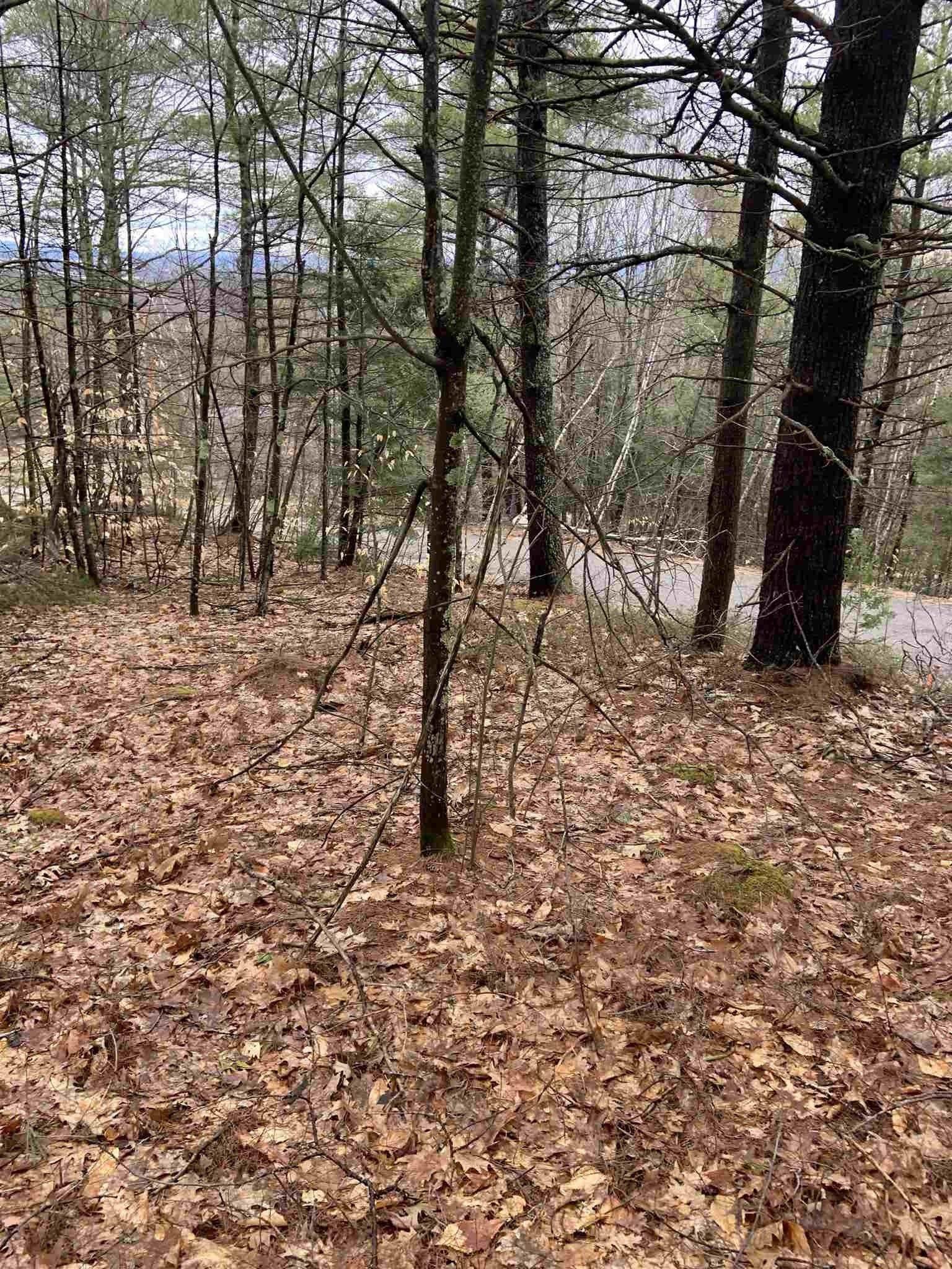 7. Land for Sale at New Durham, NH 03855