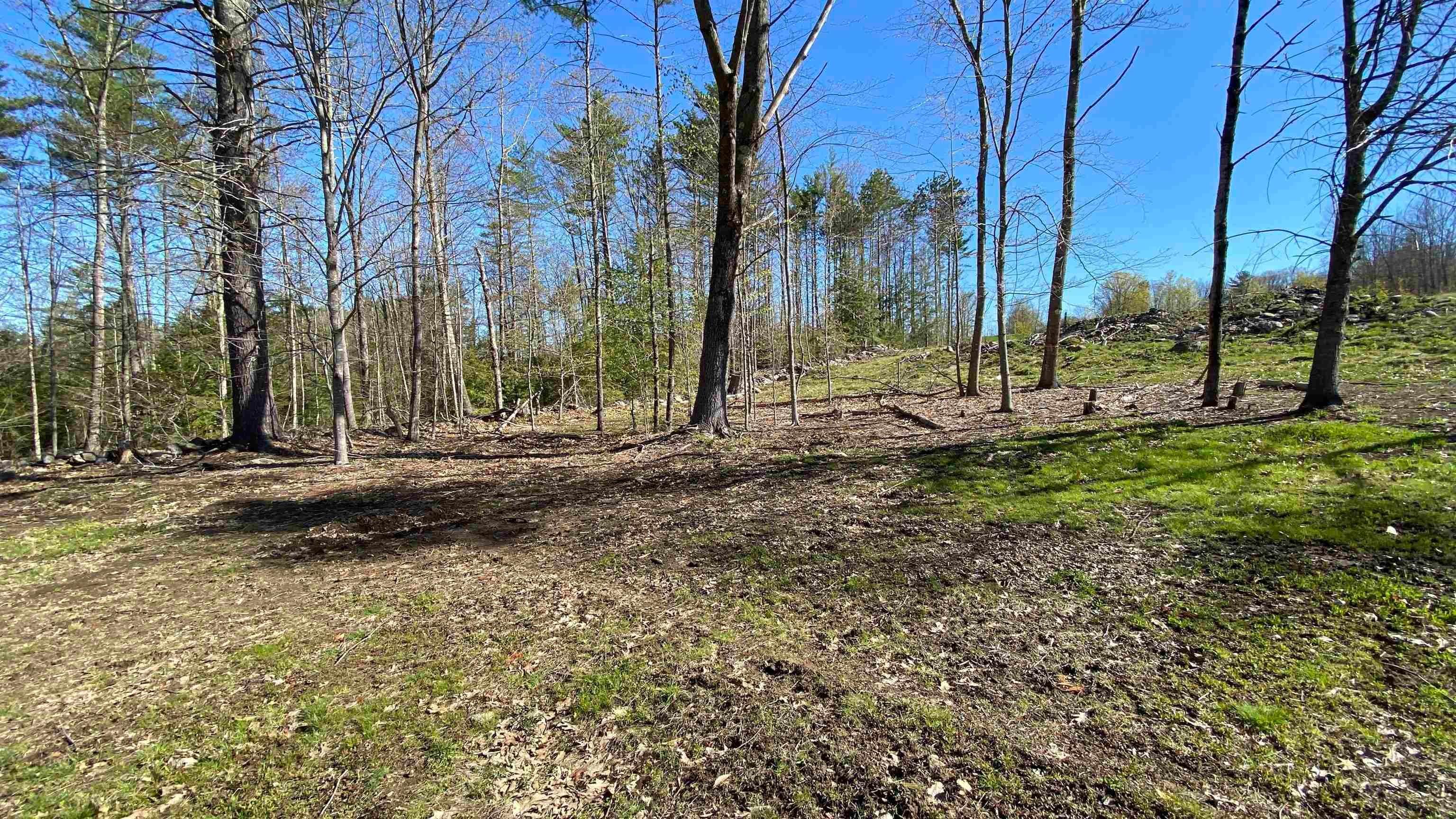 8. Land for Sale at Pittsfield, NH 03263
