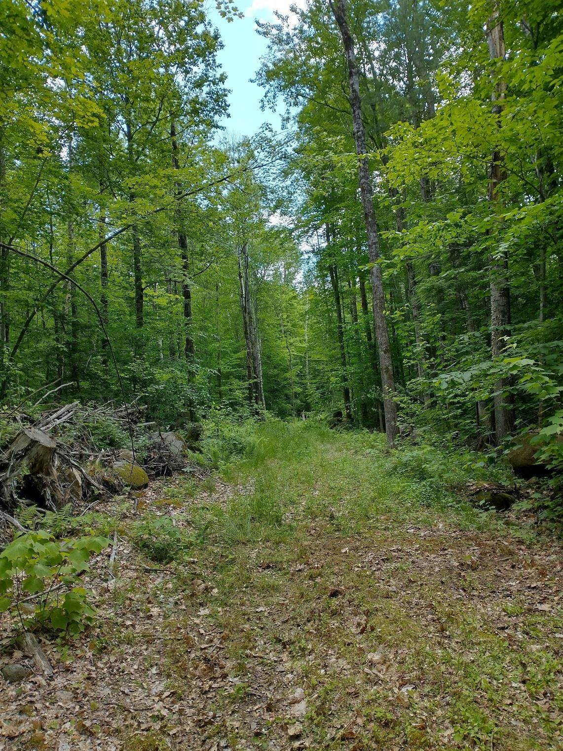 10. Land for Sale at Sandwich, NH 03227