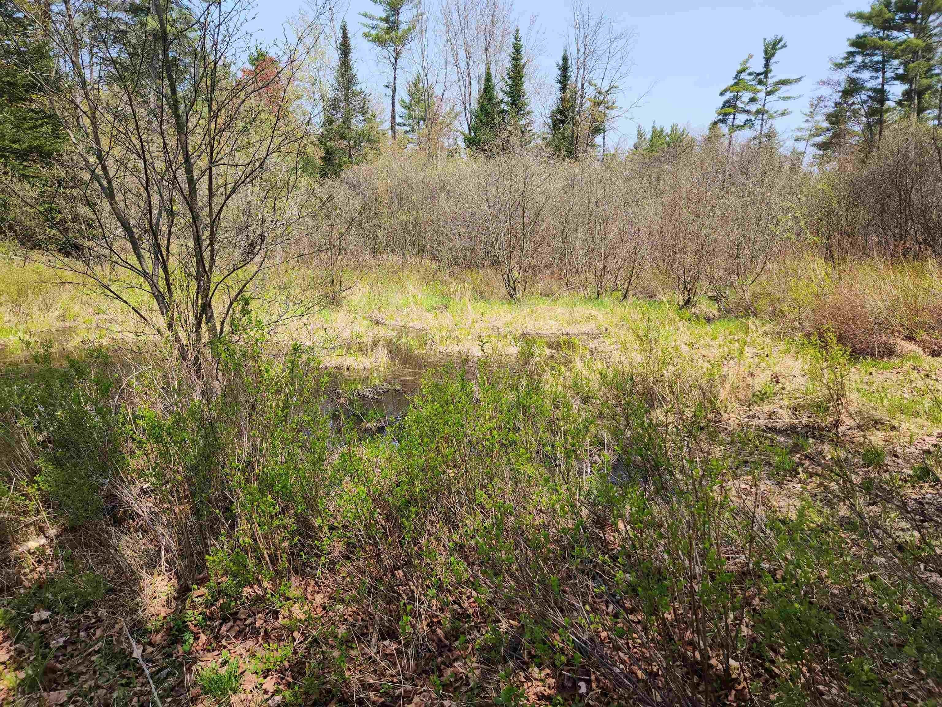10. Land for Sale at Lyman, NH 03585