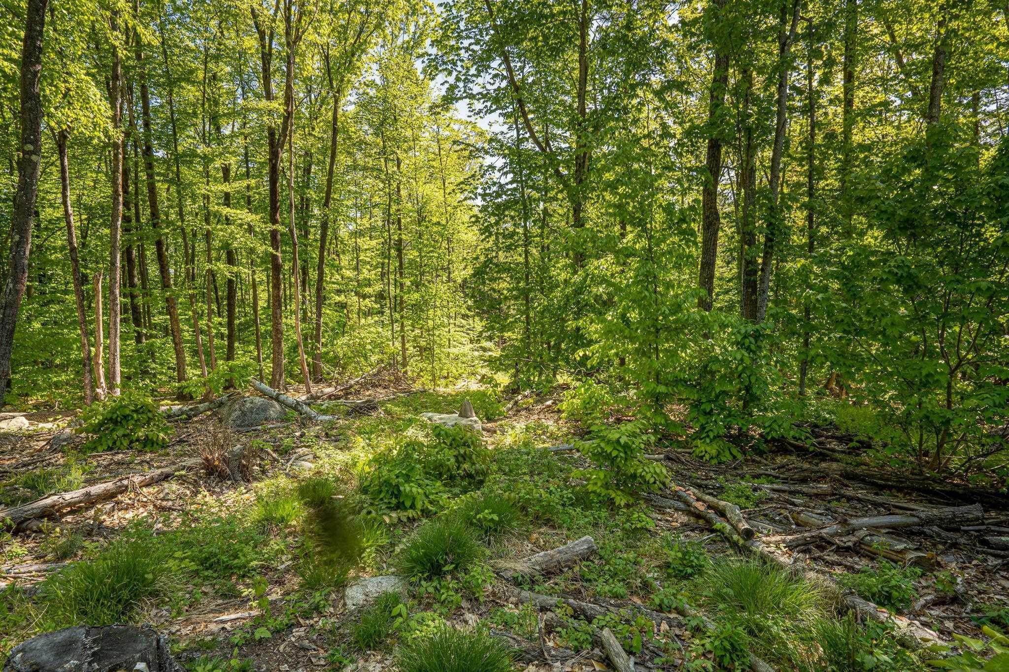 10. Land for Sale at Weare, NH 03281