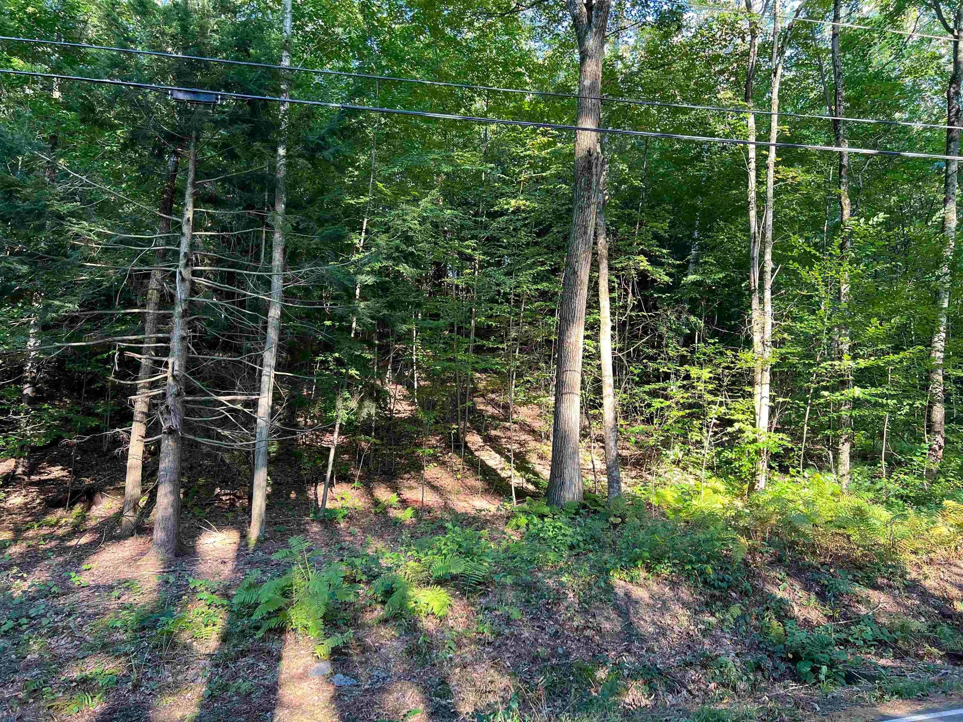 Land for Sale at Walpole, NH 03608