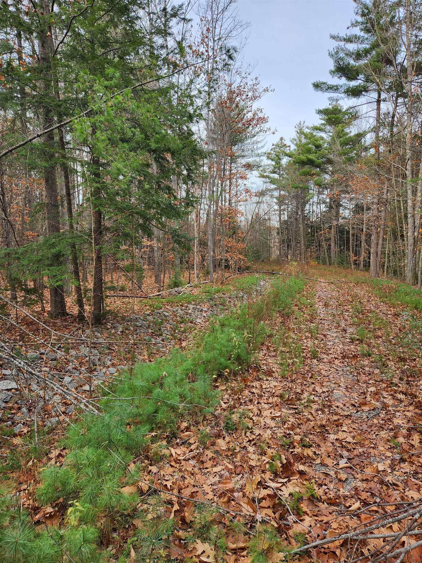 6. Land for Sale at Deering, NH 03244