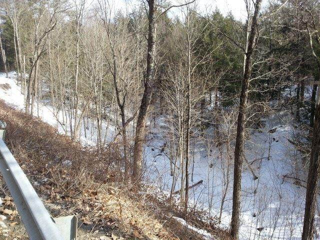 8. Land for Sale at Charlestown, NH 03603