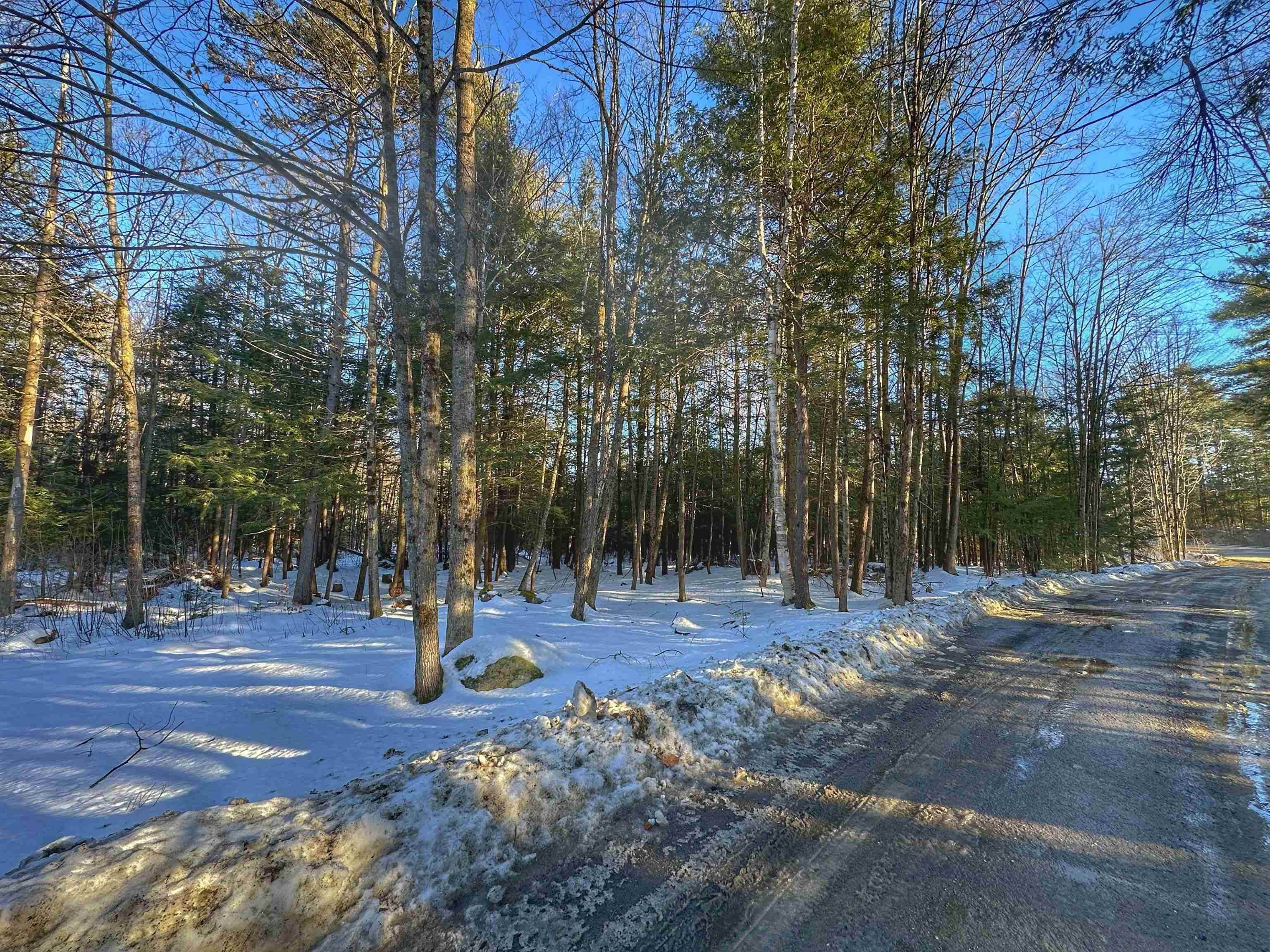 2. Land for Sale at Newport, NH 03773