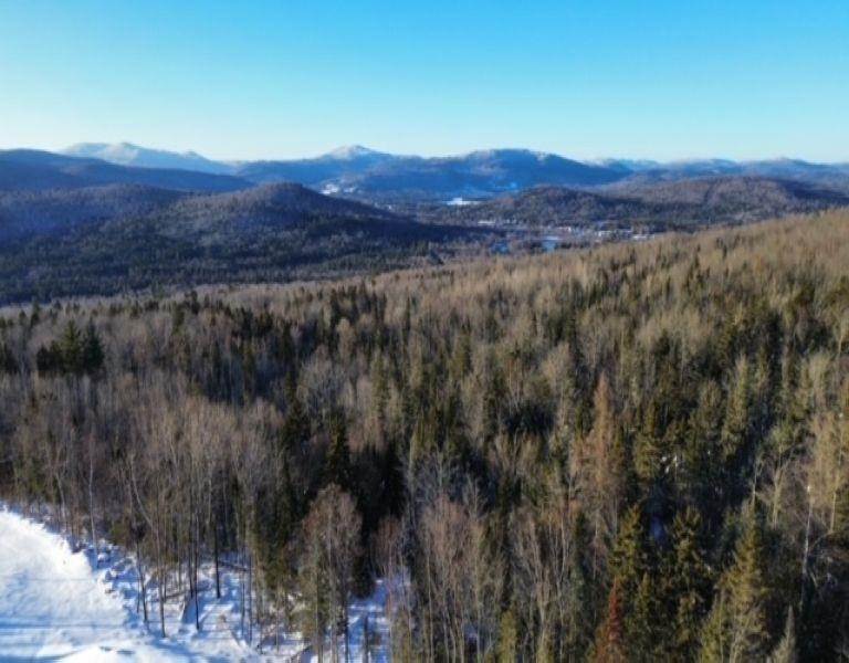 10. Land for Sale at Errol, NH 03579