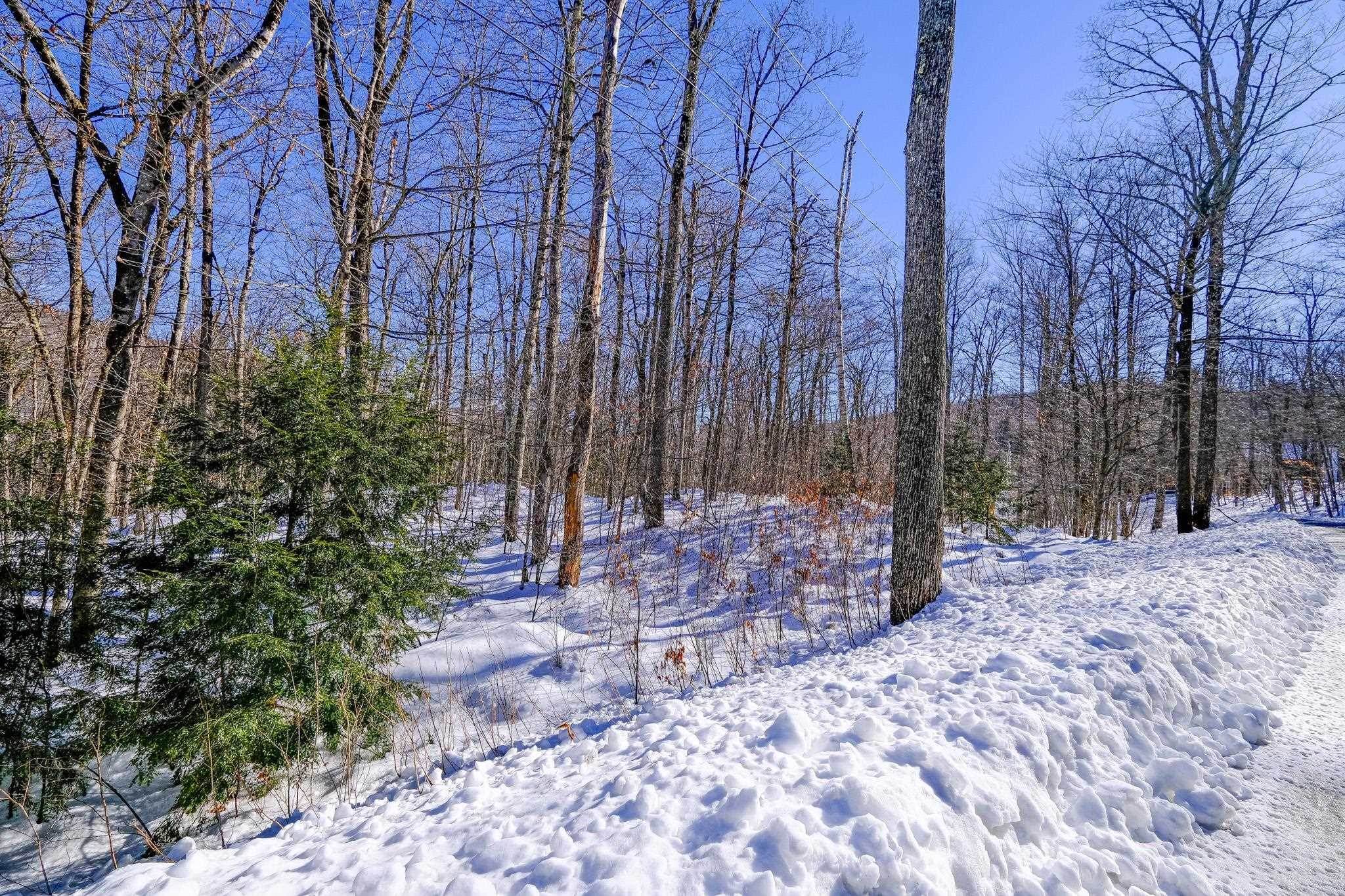 6. Land for Sale at Plymouth, VT 05056