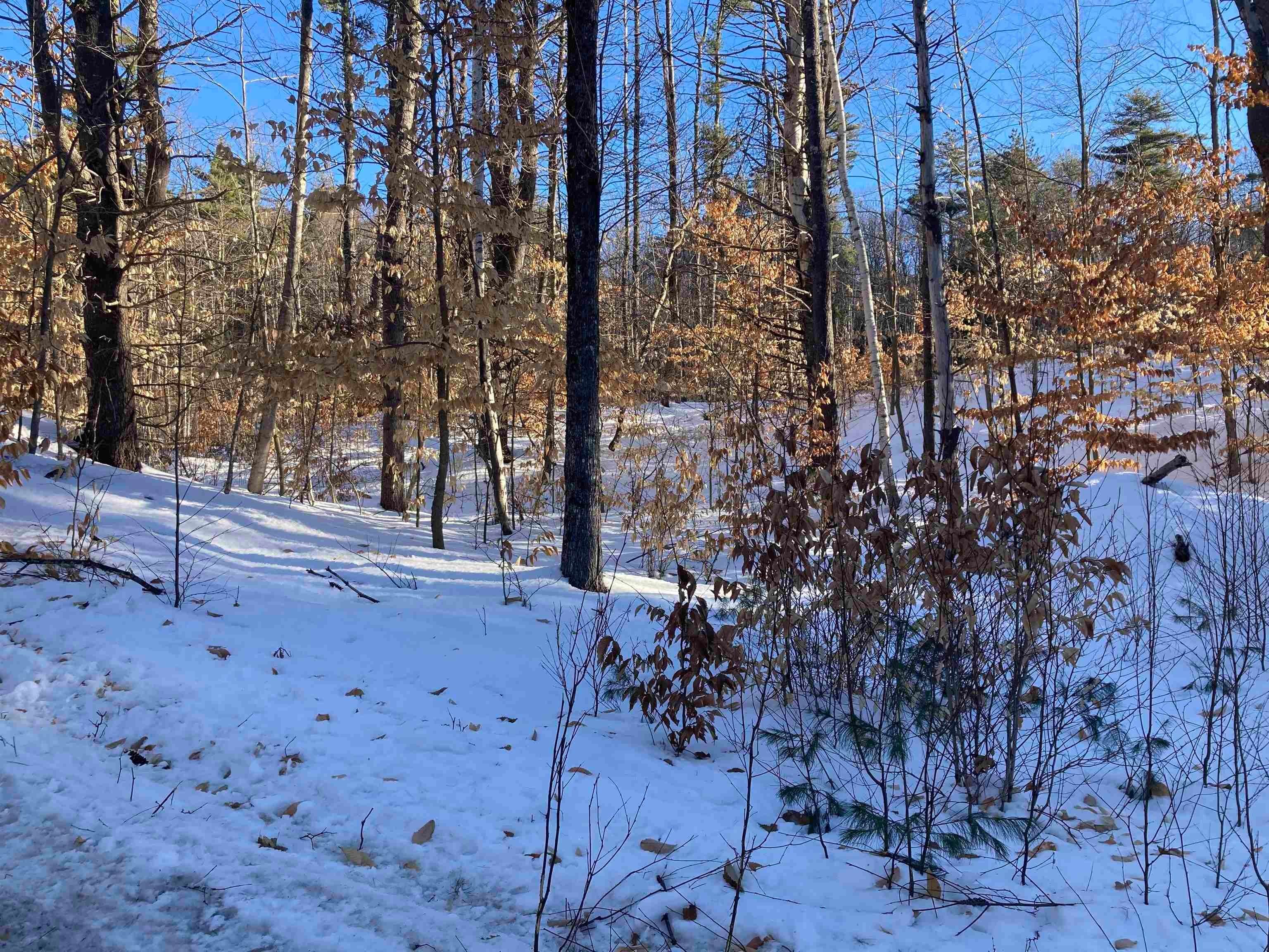 1. Land for Sale at Ossipee, NH 03864
