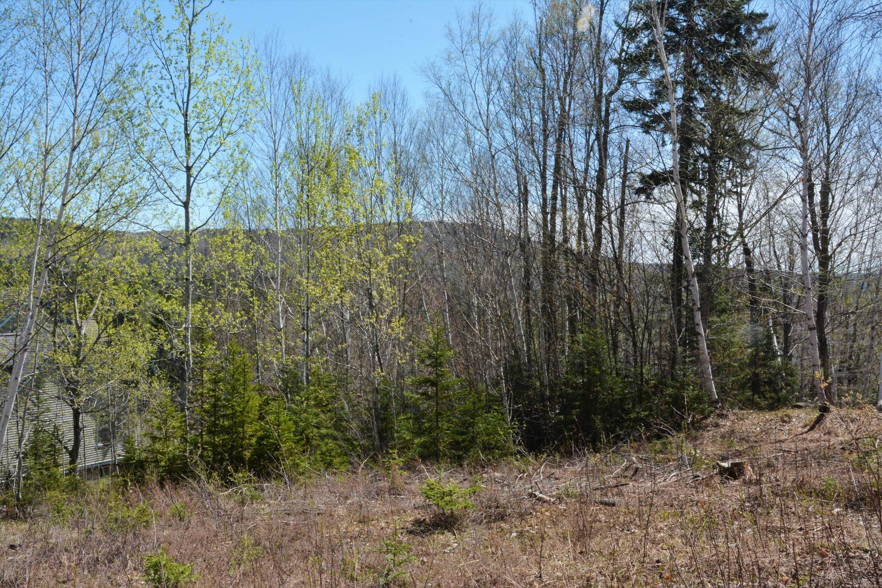 Land for Sale at Ski-on Ski-off at Somerset on Carinthia 20 Carinthia Road, Dover, VT 05356