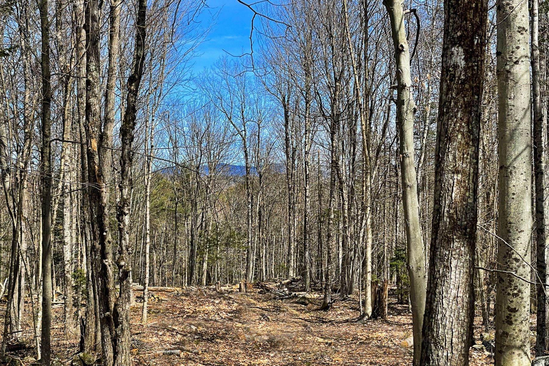 Land for Sale at New London, NH 03257
